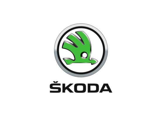 Skoda Oto Elektrik